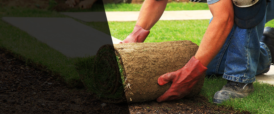 Minong Landscapers